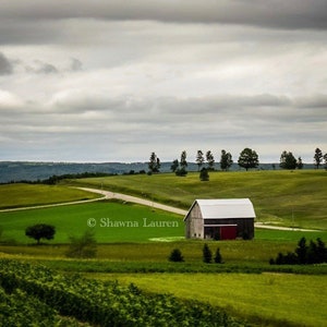 A Little Drive Through the Country Side | Huron National Forest | Michigan | Photography | Canvas Print
