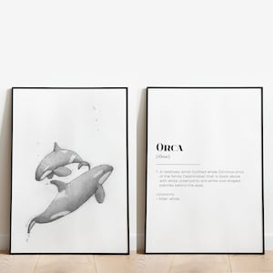Dibujo y definición de ballena orca | Conjunto de carteles de 2 partes | ballena asesina | Vivero | Oficina | sala de estar | regalo | blanco y negro