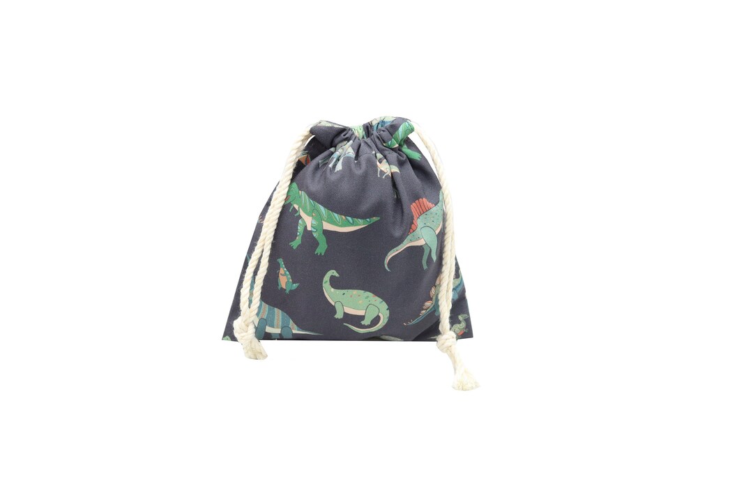 Dinosaur Pouch / Multi-function Drawstring Bag / Small Mask - Etsy