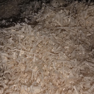 May include: Close-up of a pile of light-colored wood shavings, with a mix of textures and shapes. The shavings appear to be freshly cut, with a natural, organic aesthetic. The overall tone is neutral and earthy.