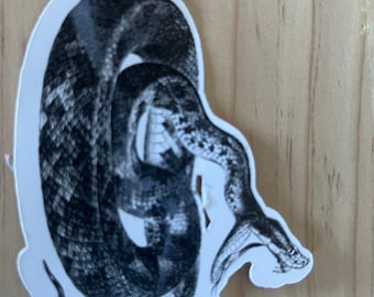 Creepy Halloween stickers