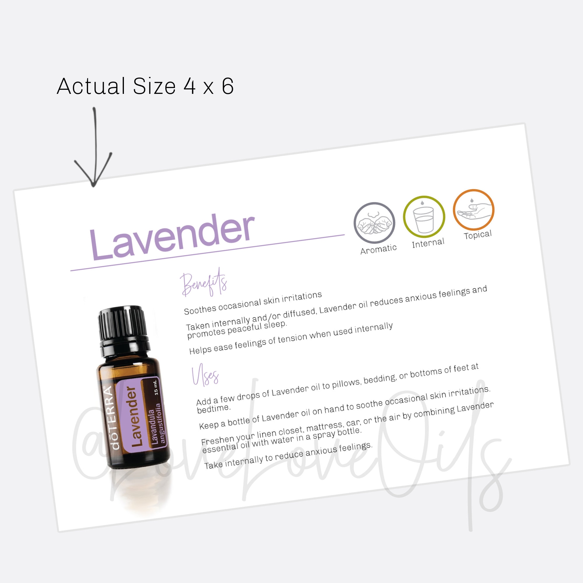 Lavender Essential Oil Sample Card Printable Sample Card for Etsy