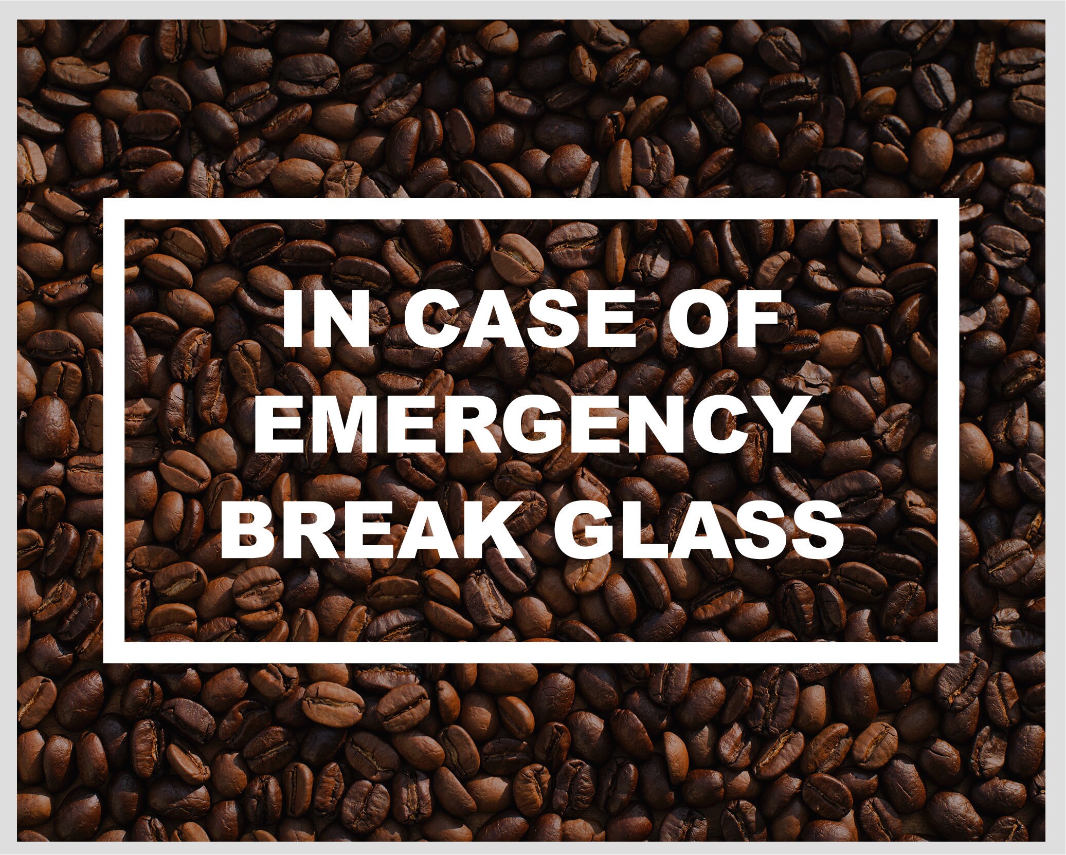 In Case Of Emergency Break Glass | Vinyl Decal