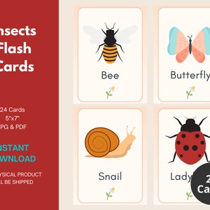 Insects Exploration Flashcards - 24 Printable 5x7 Cards for Kids Ages 4-6