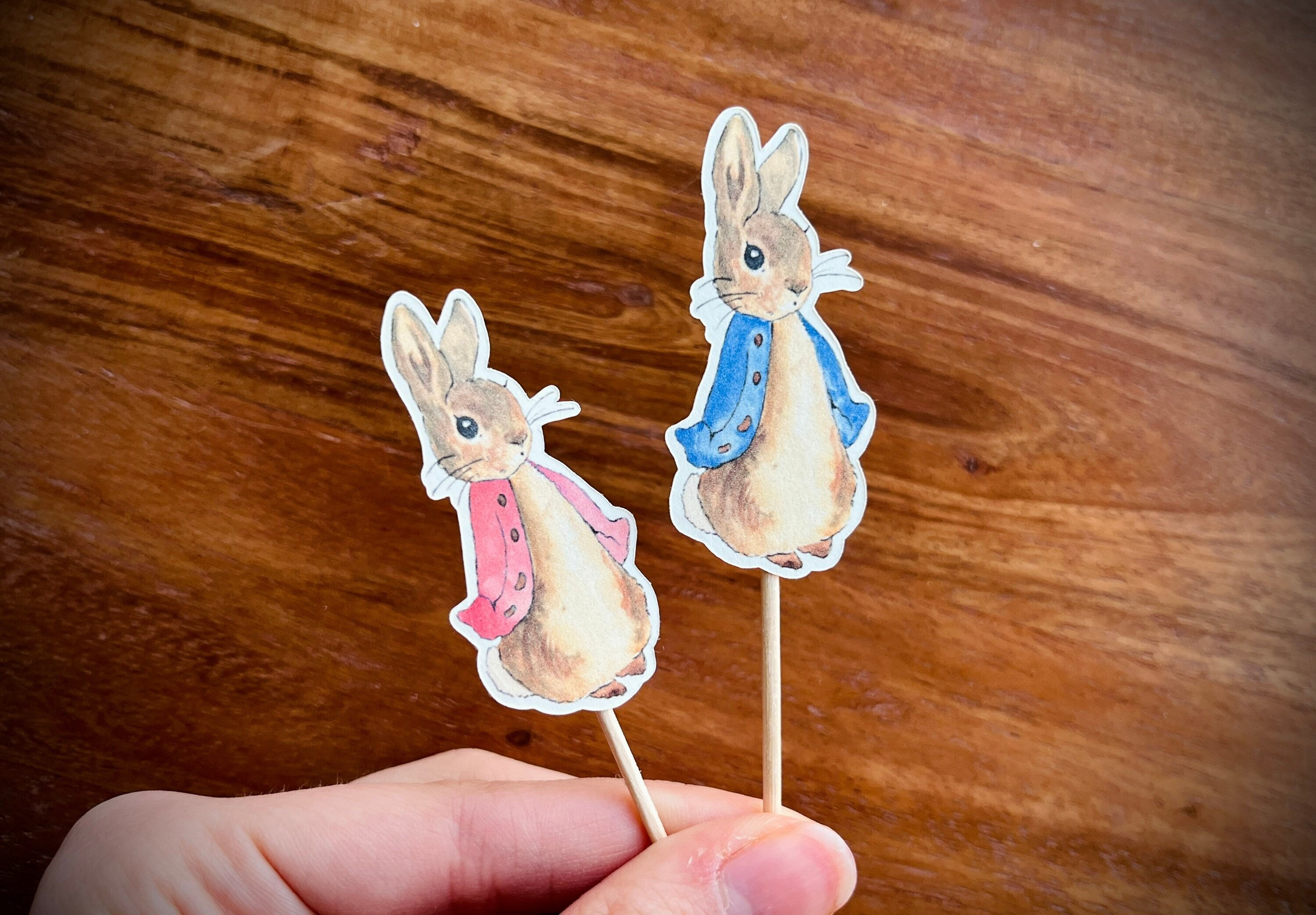 Classic Beatrix Potter Peter Rabbit Flopsy Bunny Cupcake Toppers 12 Pack Pink or Blue Baby Shower supplies Birthdays Easter Party Decor