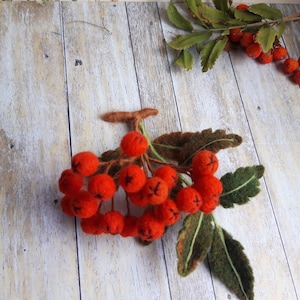 Felted brooch rowan berry, felt Red berry  pin