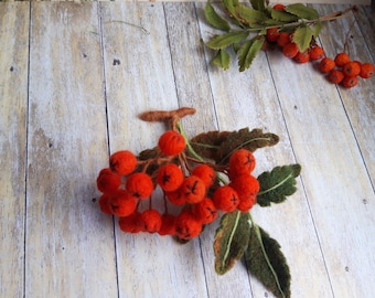 Felted brooch rowan berry, felt Red berry  pin