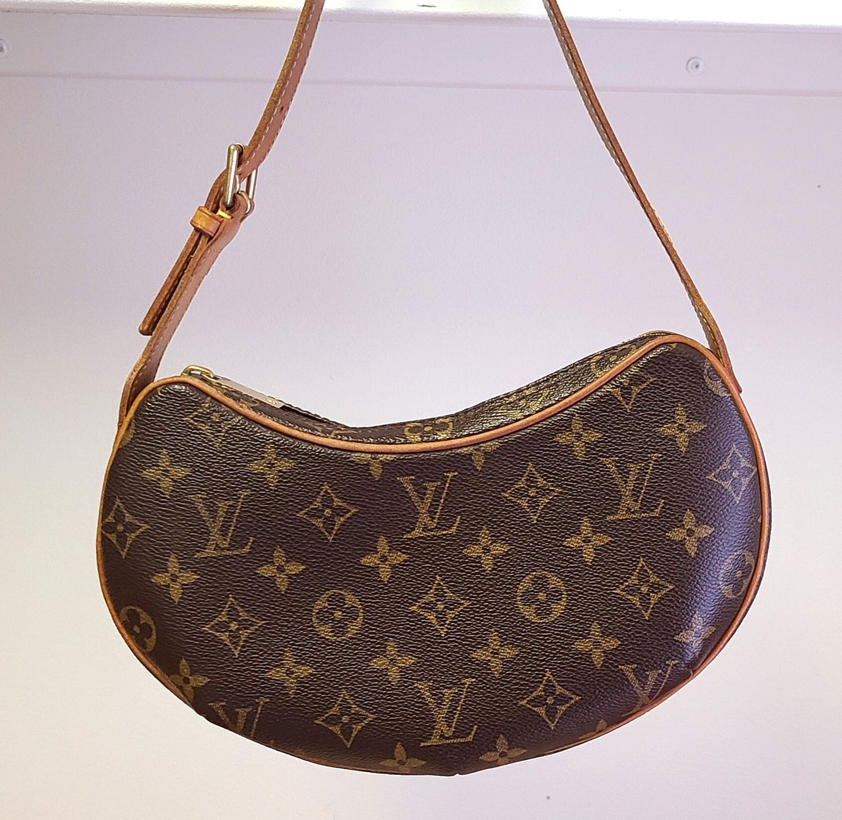 Louis Vuitton Monogram Canvas 