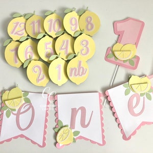 May include: A pink and yellow lemon-themed first birthday party banner with the word "one" in pink letters. The banner includes a lemon slice and leaves on each letter. There are also 12 yellow circles with pink numbers 1 through 12, and a pink number one with a lemon slice and leaves on a stick.