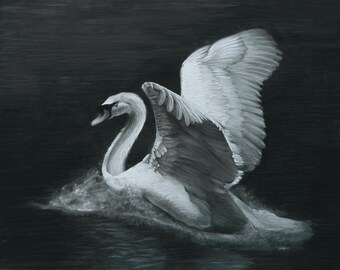 May include: A black and white drawing of a swan with its wings spread, appearing to be taking flight from a dark body of water.