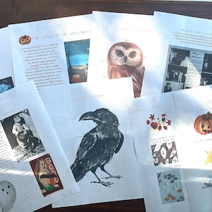 Può includere: Un set di fogli di attività di Halloween stampabili con illustrazioni di una zucca intagliata, un corvo, un gufo e un fantasma. I fogli includono istruzioni per realizzare una ghirlanda di pigne, una ghirlanda di foglie spettrali e un gioco di narrazione di storie. Il testo sui fogli include le parole "Le origini di Halloween", "Tradizioni", "Anatomia del corvo", "Attività" e "Indossare costumi spaventosi".