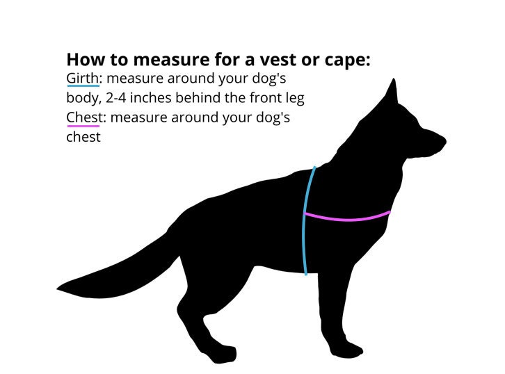 How Do You Measure A Dog For A Service Vest