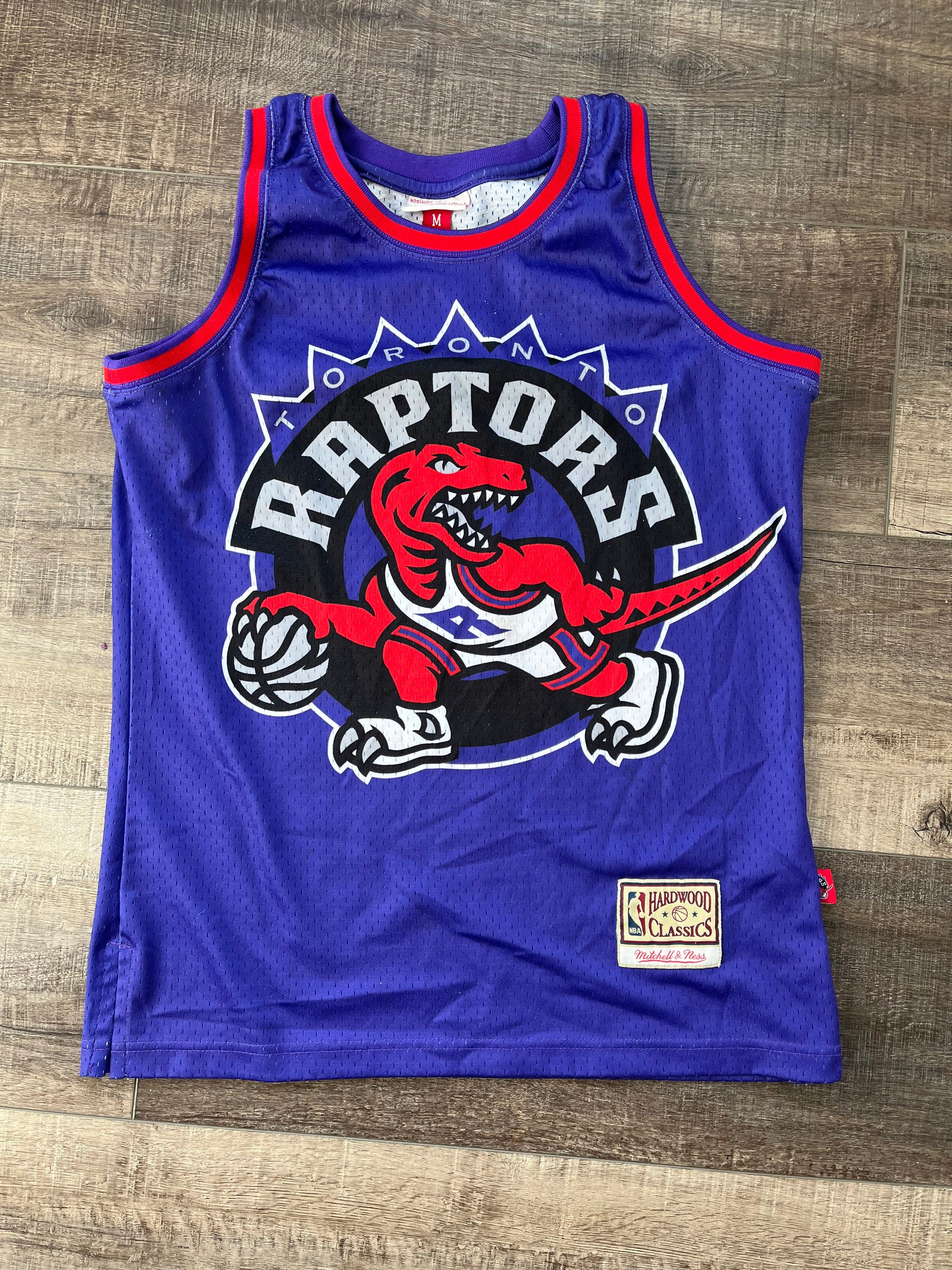 NBA Mitchell & Ness Toronto Raptors Basketball Tee Shirt Hoodie in 2023