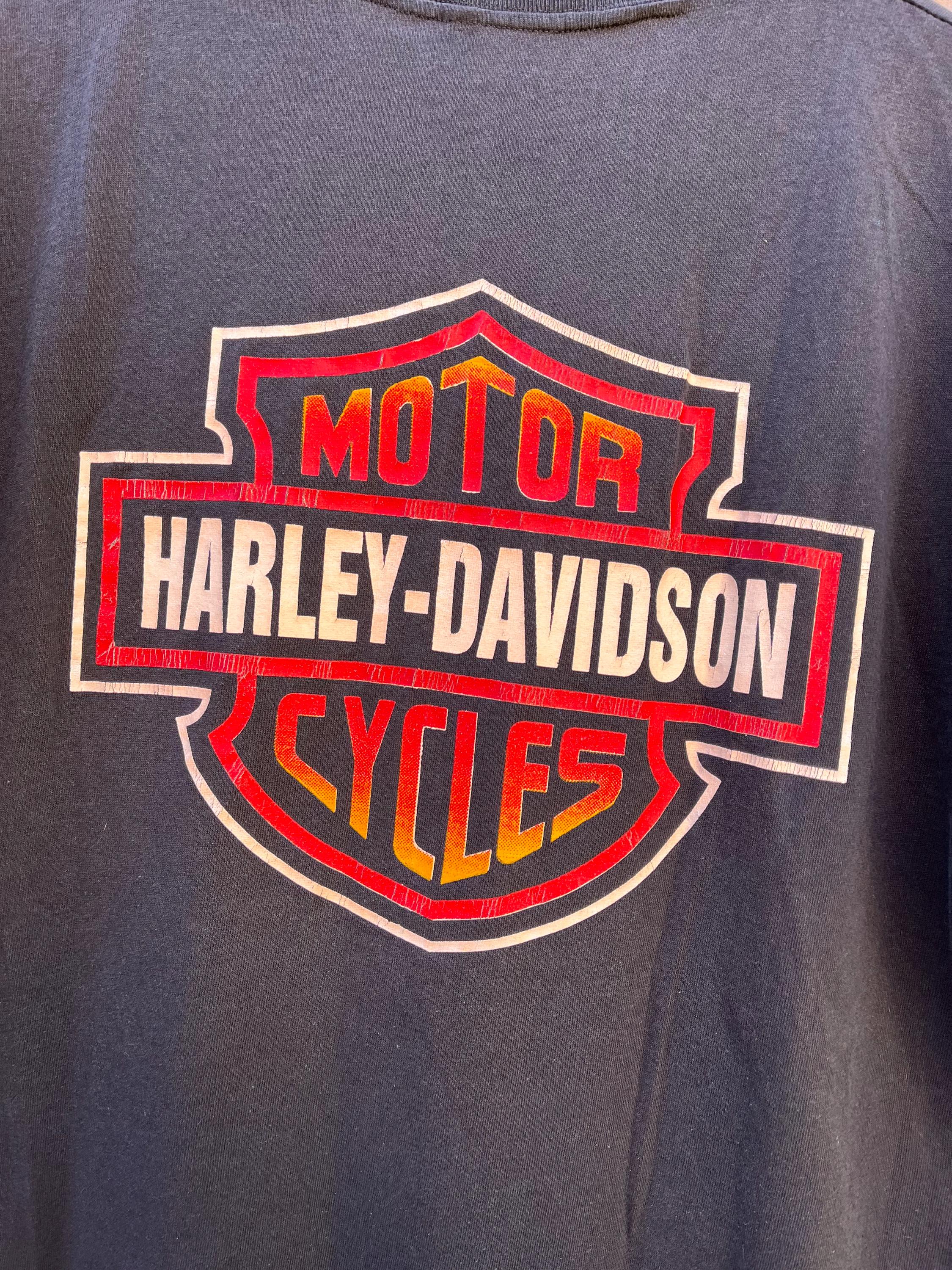 Harley-Davidson Tシャツ Acapulcoデザイン Vintage Harley Davidson Acapulco T-shirt - Etsy Canada