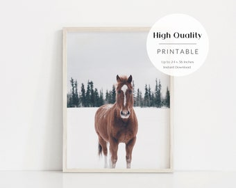 3272 Vintage Poster.Powerful Graphic Design.Muisic Horse.Winter house Art Decor