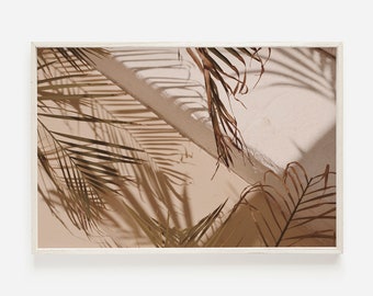 May include: A close-up of a white wall with shadows of palm leaves cast on it. The leaves are brown and dry, creating a warm and natural aesthetic.