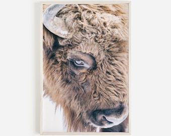 Bison Print, Wildlife Photography, Rustic Farmhouse Printable Decor, Animal Large Wall Art, Yellowstone Bison Photo, Animal Poster Art