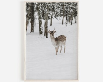 Deer In The Snow Print, Rustic Home Decor, Nature Photography, Snowy Deer Print, Winter Wildlife Decor, Deer Digital Art, Christmas Decor