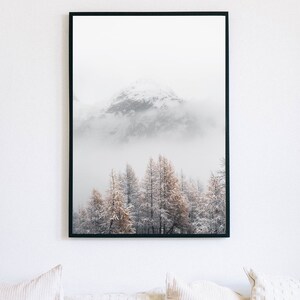 May include: A black framed photograph of a snowy mountain peak with a forest of trees in the foreground. The trees are covered in snow and the mountain is partially obscured by fog.