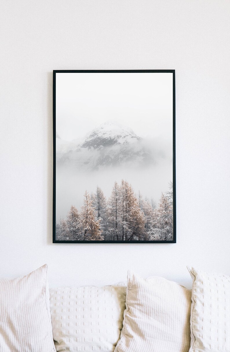 May include: A black framed photograph of a snowy mountain peak with a forest of trees in the foreground. The trees are covered in snow and the mountain is partially obscured by fog.