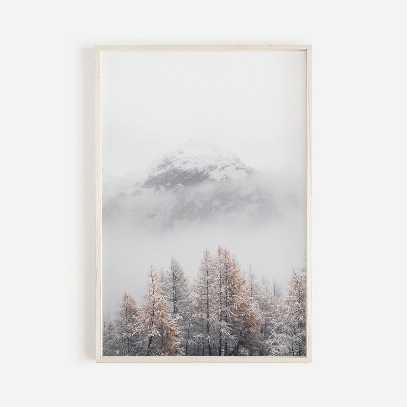 May include: A snowy mountain peak rises above a forest of pine trees covered in snow and frost. The trees are a muted brown color, contrasting with the white snow and fog.
