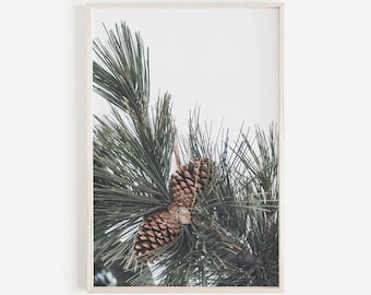 Pinecone Print, Large Printable Poster, Modern Nordic Print, Minimalist Holiday Decor, Pine Cone, Modern Wall Art Prints, Cabin Decor