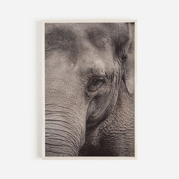 Bohemian Elephant Wall Art, Digital Download, Indonesia Elephant, Macro Photograph, Extra Large Wall Art, Gray, Save The Planet