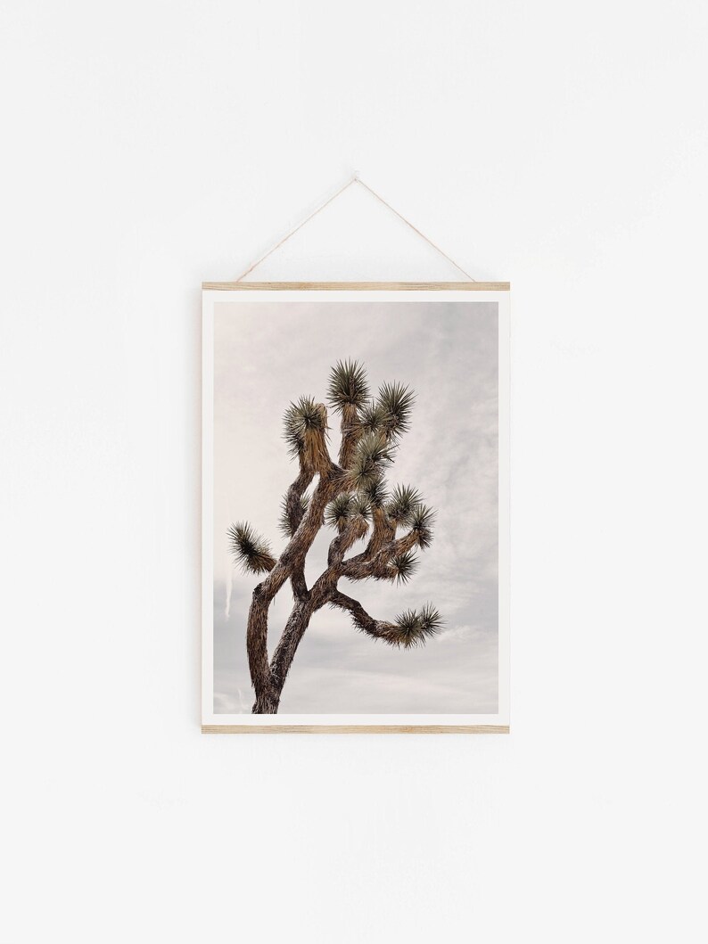 May include: A framed photograph of a Joshua tree against a cloudy sky. The tree is brown and green with a unique, twisted shape.