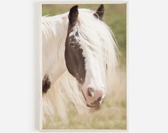 Horse Print, Equine Print, Paint Horse Wall Art, Horse Photography, Horse Poster, Wild Horse, Printable Art,Horse Printable,Instant Download