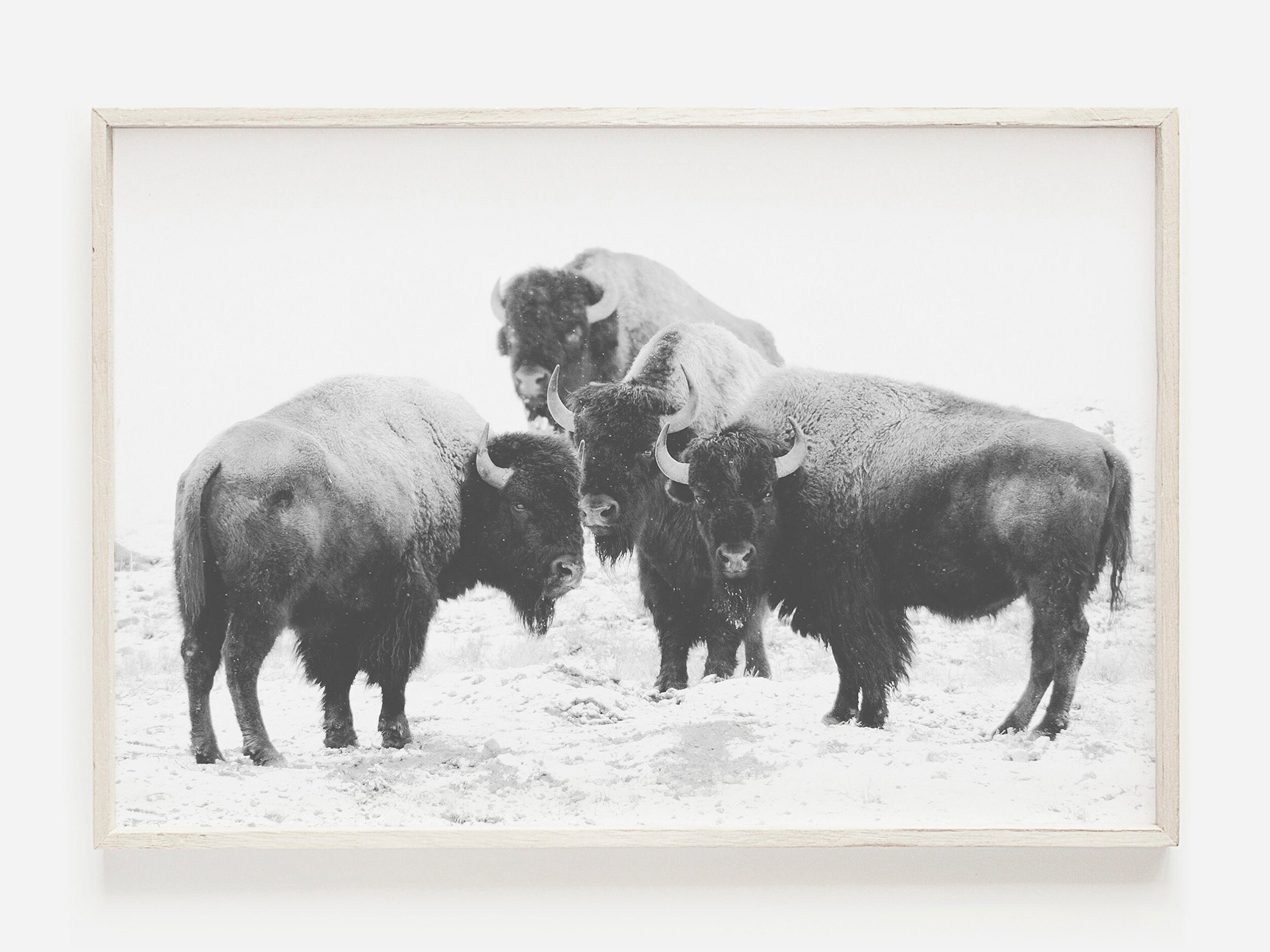 Bison Herd Wall Art Buffalo Printable Modern Farmhouse Art - Etsy