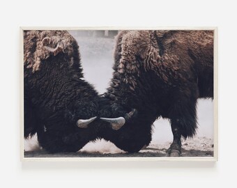 Bison Cow Animal Print, Landscape Wall Art, Over The Bed Art, Bedroom Print, Modern Masculine Wall Art, Man Cave, Yellowstone Wyoming