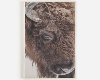 Bison Print, Wildlife Photography, Rustic Farmhouse Printable Decor, Animal Large Wall Art, Nursery Modern Print, Animal Poster Art