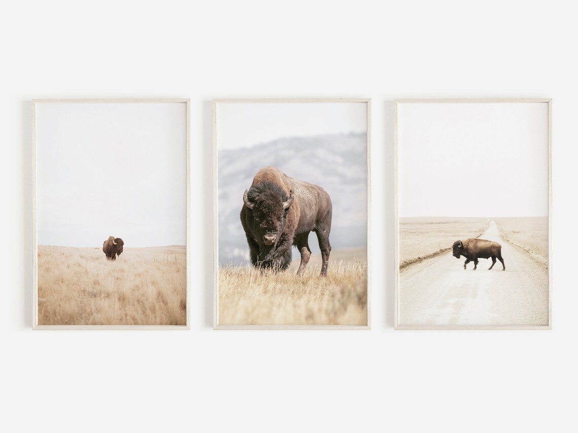 Buffalo Wall Art Bison Print Bison Wall Art Americana - Etsy Canada