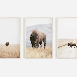 Buffalo Wall Art, Bison Print, Bison Wall Art, Americana, Western Wall Art Decor, Bison Poster, Southwestern Wall Art, Printable Bison Art