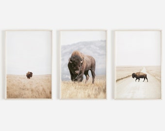 Buffalo Wall Art, Bison Print, Bison Wall Art, Americana, Western Wall Art Decor, Bison Poster, Southwestern Wall Art, Printable Bison Art