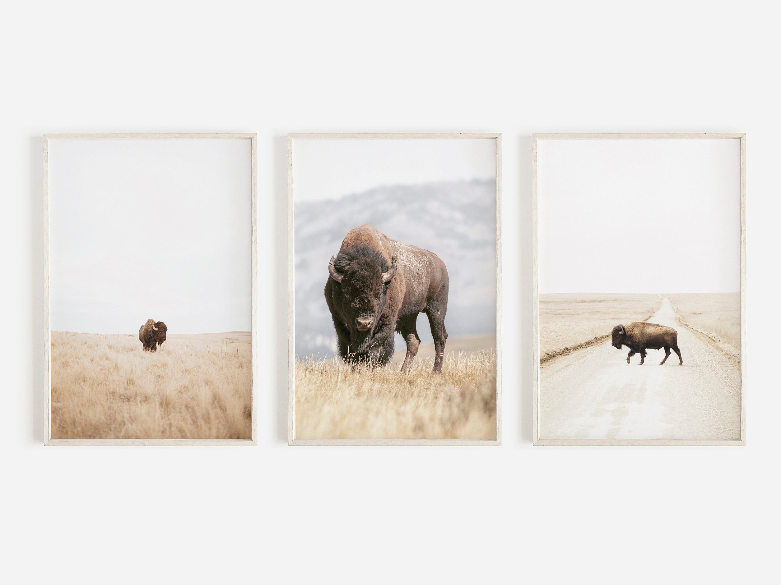 Buffalo Wall Art Bison Print Bison Wall Art Americana Etsy Australia
