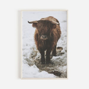 Highland vaca impressão do sudoeste decoração moderna rústica fazenda impressão boho grande arte da parede imprime arte da parede da vaca shaggy vaca impressão arte