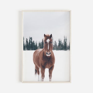 Wild paard in de sneeuw, poster boerderij decor, western decor, Americana, winters tafereel kunst, paardenfotografie, moderne kunst aan de westelijke muur, Montana