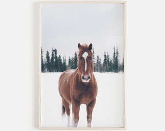 Wild Horse In Snow, Farmhouse Decor Poster, Western Decor, Americana, Winter Scene Art, Horse Photography, Modern Western Wall Art, Montana