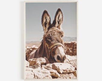 Southwestern Donkey Burro Art Print, Digital Print, Burro, Morocco, Desert Animal, New Mexico, California, Joshua Tree, Modern Boho Home Art