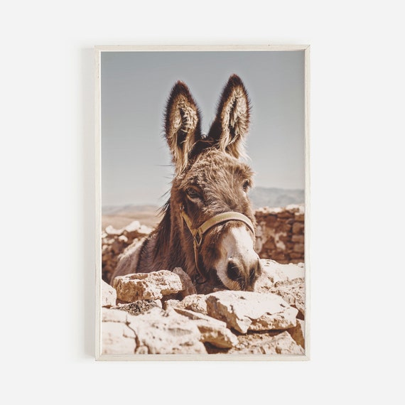 Southwestern Donkey Burro Art Print, Digital Print, Burro, Morocco, Desert Animal, New Mexico, California, Joshua Tree, Modern Boho Home Art