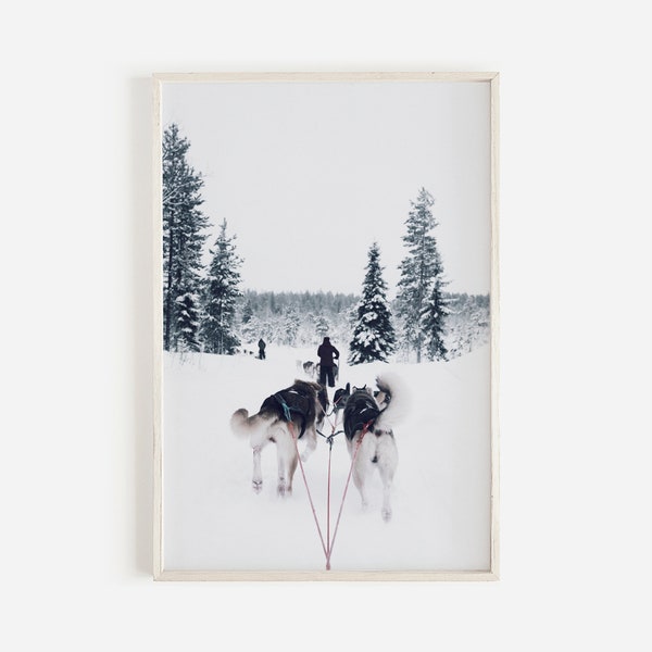 Verschneite Winter-Schlittenhund-Druck Kiefern schneebedeckter Wald Druckbares großes Winter-Poster Nordische Weihnachten Alaska Skandinavische druckbare Kunst