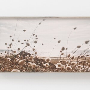 Samsung Frame TV Art | Beach Grass Digital Art | Art for Frame Tv | Coastal Digital Art | Beach Landscape | Boho Art Frame Tv | Digital Art