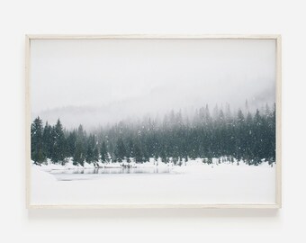Winter Forest Print, Christmas Wall Art, Horizontal Winter Trees Print, Landscape Photography, Minimalist Decor, Modern Printable Wall Art
