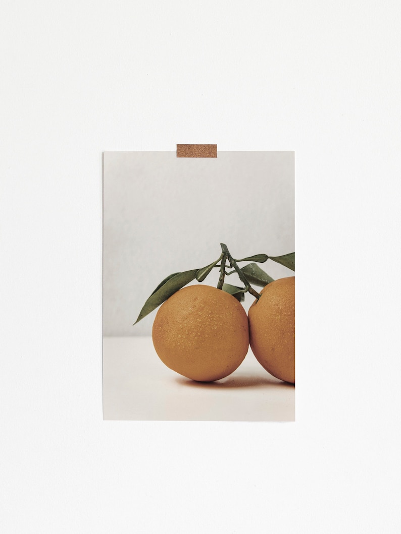 Orange Citrus Wall Art Neutral Print Orange Grove Florida Etsy