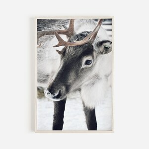 Reindeer Print, Winter Decor, Christmas Printable Art, Nordic Christmas, Large Wall Art, Instant Download, Christmas Decor, Scandinavian Art
