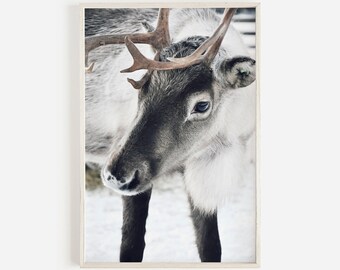 Reindeer Print, Winter Decor, Christmas Printable Art, Nordic Christmas, Large Wall Art, Instant Download, Christmas Decor, Scandinavian Art