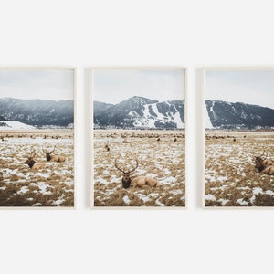 Set of 3 Prints Elk Herd Print Rustic Cabin Decor Wyoming Landscape Snow Animal 3 Piece Set Montana Woodland Animal Print Cabin Printable