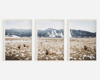 Set of 3 Prints Elk Herd Print Rustic Cabin Decor Wyoming Landscape Snow Animal 3 Piece Set Montana Woodland Animal Print Cabin Printable