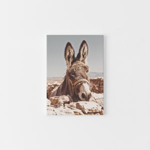 Southwestern Donkey Burro Art Print, Digital Print, Burro, Morocco, Desert Animal, New Mexico, California, Joshua Tree, Modern Boho Home Art image 3